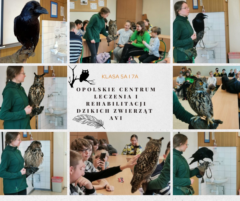 AVI - Opolskie Centrum Leczenia i Rehabilitacji Dzikich Zwierząt