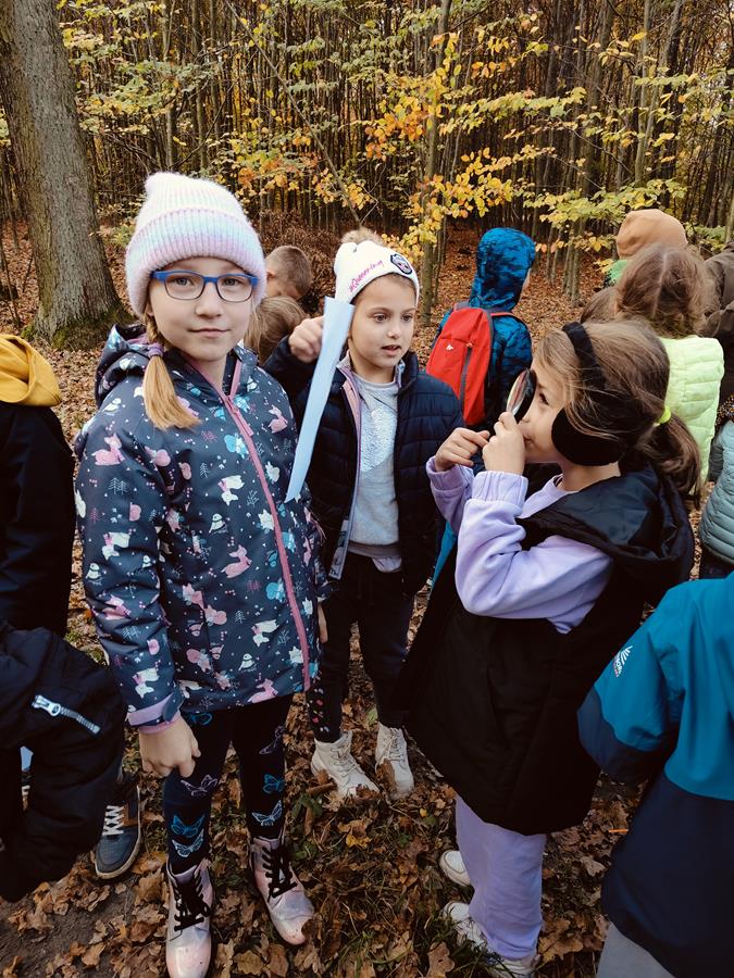 Zdjęcie dzieci podczas zajęć edukacyjnych w lesie